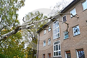 Storm damage with fallen birch and damaged house after hurricane Herwart in Berlin