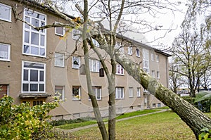 Storm damage with fallen birch and damaged house after hurricane Herwart in Berlin