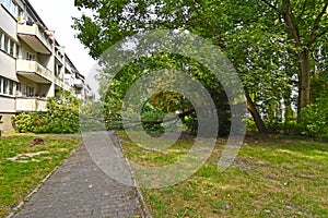 Storm damage with fallen tree, which narrowly missed a house after heavy wind in Berlin