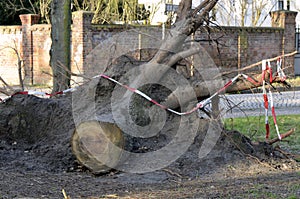 Storm damage after hurricane Herwart in Berlin, Germany