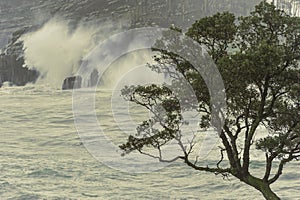 storm day on the Basque coast