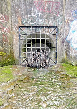 Storm drain with garbage encrusted grate