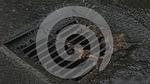 Storm Drain Grate, Torrential Rain, Slow Motion