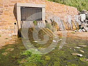 Storm Drain Outflow