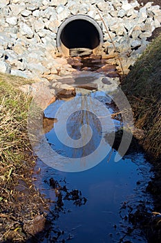 Storm Drain Outflow With Tree Reflection photo