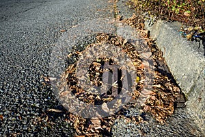 Storm drain surrounded by dead leaves, not ready for winter storms, residential street and curb