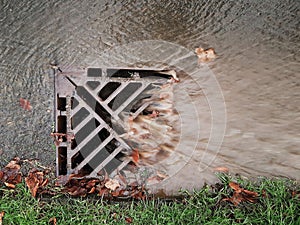 Storm drains Flooding Autumnal leaves photo