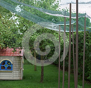 Storm of hail in a vegetable garden and protection net