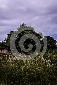 Storm Landscape In Marmara Region - Turkey