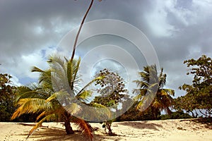 Storm over beach