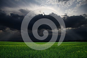 Storm over the field