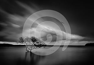 Storm over Salamander Bay