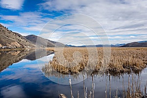 Storm over a tranquil pond