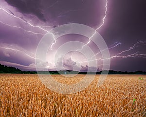 Storm over wheat img