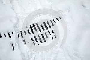 Storm sewer grate under the snow