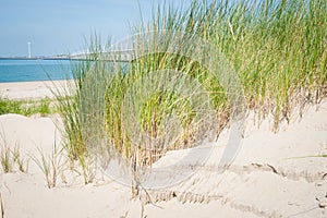 Storm surge barrier Oosterschelde nearby Neeltje Jans in The Net