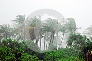 Storm in tropical island