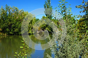 Storm Water Pond - Boise, Idaho