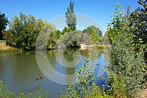 Storm Water Pond - Boise, Idaho