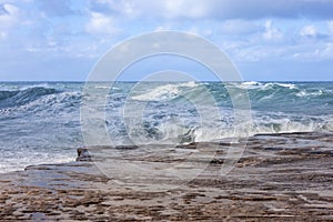 Storm waves crashing on the rocks, Bondi Australia