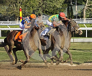 Storming Down the Homestretch