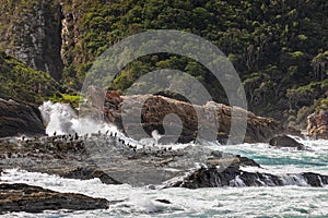 The Storms River Mouth in South Africa