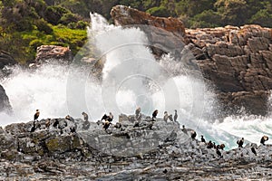 The Storms River Mouth in South Africa