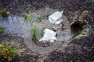 Stormwater management, inlet pipe for excess rainwater, sandbags, and garden plantings photo