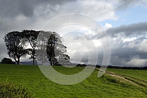 A stormy autumn day in Wales. Fields, trees and dark clouds.