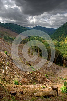 Ausgelassen stornieren reduzieren 