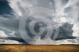 Stormy clouds in the golden fields