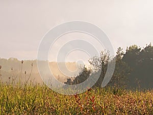 Stormy couds and sunset sky over fields