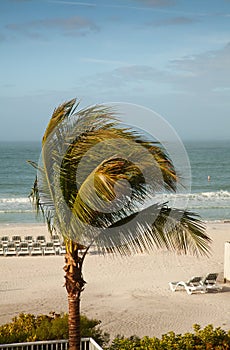 Stormy Day on Lido Beach photo