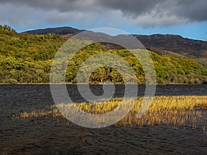 Stormy day at Loch Achray in autumn time