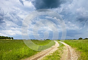 Stormy grassland