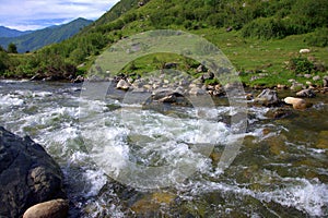 A stormy and impetuous mountain river flows through the valley and the forest is sandwiched in rocky shores. Sema, Altai, Siberia