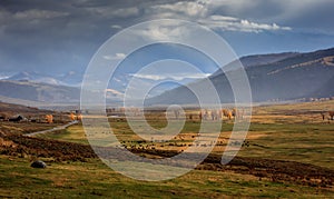 Stormy Lamar Valley in Yellowstone