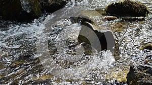 Stormy mountain river