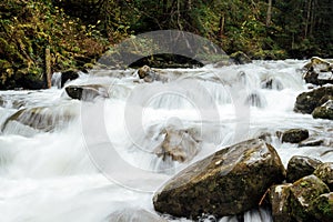 The stormy mountain river flows along the gorge high in the mountains