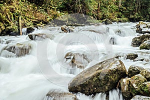 The stormy mountain river flows along the gorge high in the mountains