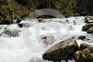 The stormy mountain river flows along the gorge high in the mountains