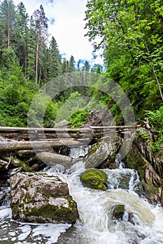 Stormy mountain river in the forest in Altai, Russia