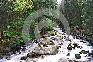 Stormy mountain river with rocks on the shore