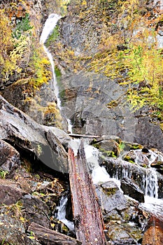 A stormy mountain stream, cascading down from a high hill, bending around stone boulders and felled trees