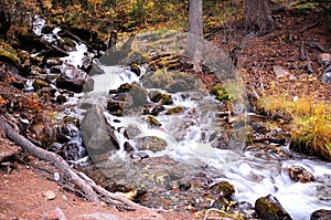 A stormy mountain stream flows down in a cascading stream, bending around stones and tree trunks