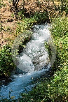 Stormy mountain stream among grass, spray and foam.