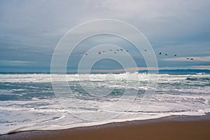 Stormy Pacific ocean, and cloudy sky with silhouette of flying birds in the horizon, California