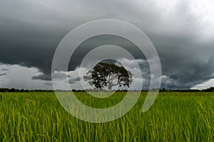 Stormy rain clouds background. Dark sky above field.selection focus.