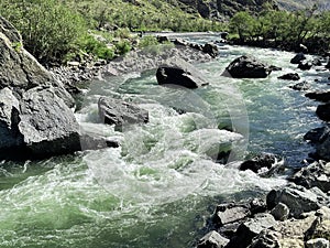 Stormy river Chulyshman in Chulyshman valley, Altai, Russia