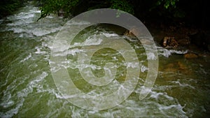 A stormy river flows through the forest